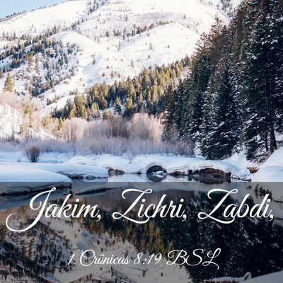 Picture 03 - 1 Crônicas 8:19 BSL - Jakim, Zichri, - Bible Verse Picture