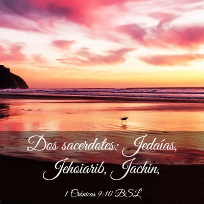 Picture 03 - 1 Crônicas 9:10 BSL - Dos sacerdotes: Jedaías, Jehoiarib, - Bible Verse Picture