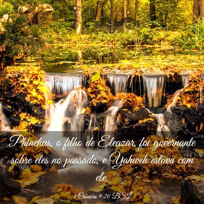 Picture 03 - 1 Crônicas 9:20 BSL - Phinehas, o filho de Eleazar, foi governante - Bible Verse Picture