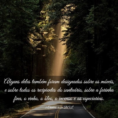 Picture 03 - 1 Crônicas 9:29 BSL - Alguns deles também foram designados sobre os - Bible Verse Picture