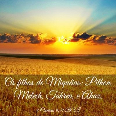 Picture 03 - 1 Crônicas 9:41 BSL - Os filhos de Miquéias: Pithon, Melech, Tahrea, e - Bible Verse Picture