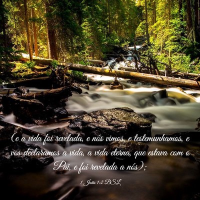 Picture 03 - 1 João 1:2 BSL - (e a vida foi revelada, e nós vimos, e - Bible Verse Picture