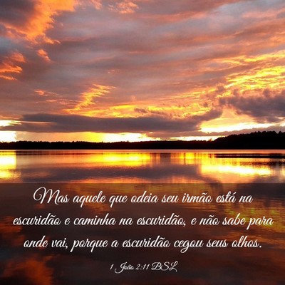 Picture 03 - 1 João 2:11 BSL - Mas aquele que odeia seu irmão está na - Bible Verse Picture