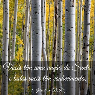 Picture 03 - 1 João 2:20 BSL - Vocês têm uma unção do Santo, e todos vocês - Bible Verse Picture