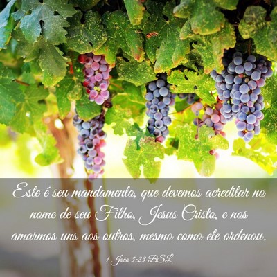Picture 03 - 1 João 3:23 BSL - Este é seu mandamento, que devemos acreditar no - Bible Verse Picture
