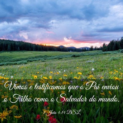 Picture 03 - 1 João 4:14 BSL - Vimos e testificamos que o Pai enviou o Filho - Bible Verse Picture