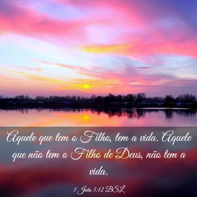 Picture 03 - 1 João 5:12 BSL - Aquele que tem o Filho, tem a vida. Aquele que - Bible Verse Picture