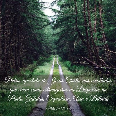 Picture 03 - 1 Pedro 1:1 BSL - Pedro, apóstolo de Jesus Cristo, aos escolhidos - Bible Verse Picture