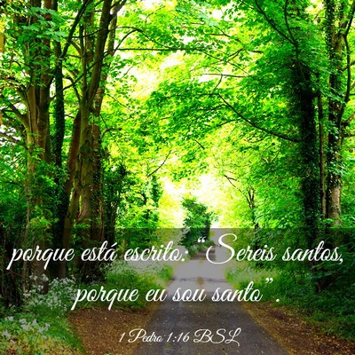 Picture 03 - 1 Pedro 1:16 BSL - porque está escrito: “Sereis santos, porque eu - Bible Verse Picture