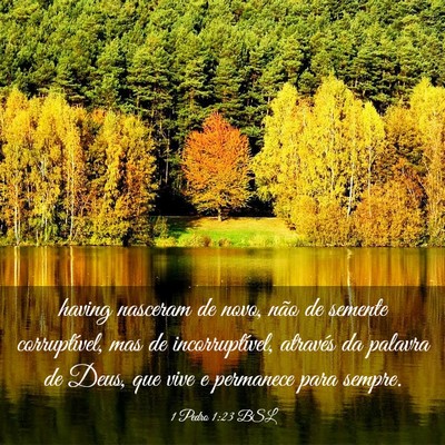 Picture 03 - 1 Pedro 1:23 BSL - having nasceram de novo, não de semente - Bible Verse Picture