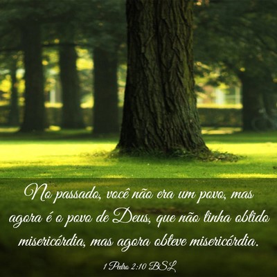 Picture 03 - 1 Pedro 2:10 BSL - No passado, você não era um povo, mas agora é - Bible Verse Picture