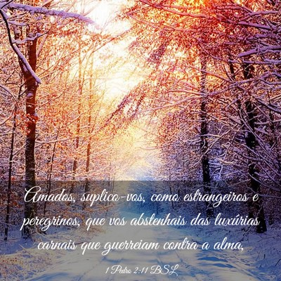 Picture 03 - 1 Pedro 2:11 BSL - Amados, suplico-vos, como estrangeiros e - Bible Verse Picture