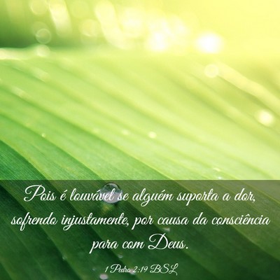 Picture 03 - 1 Pedro 2:19 BSL - Pois é louvável se alguém suporta a dor, - Bible Verse Picture