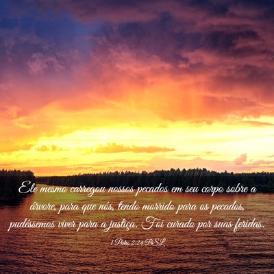 Picture 03 - 1 Pedro 2:24 BSL - Ele mesmo carregou nossos pecados em seu corpo - Bible Verse Picture