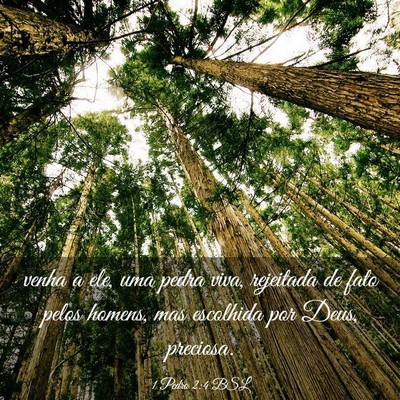 Picture 03 - 1 Pedro 2:4 BSL - venha a ele, uma pedra viva, rejeitada de fato - Bible Verse Picture