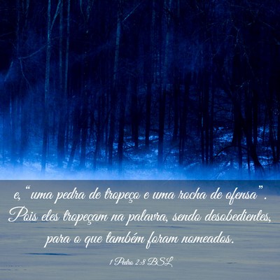 Picture 03 - 1 Pedro 2:8 BSL - e, “uma pedra de tropeço e uma rocha de - Bible Verse Picture