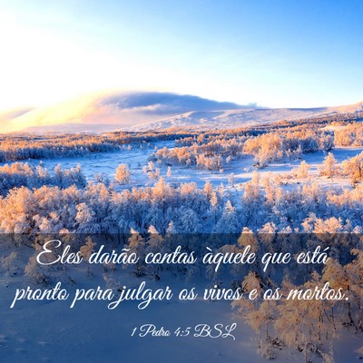 Picture 03 - 1 Pedro 4:5 BSL - Eles darão contas àquele que está pronto para - Bible Verse Picture