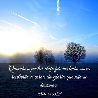 Picture 03 - 1 Pedro 5:4 BSL - Quando o pastor chefe for revelado, vocês - Bible Verse Picture
