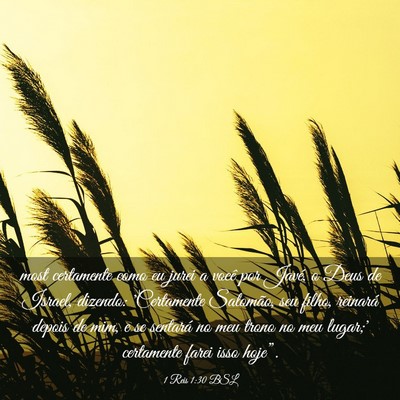 Picture 03 - 1 Reis 1:30 BSL - most certamente como eu jurei a você por Javé, - Bible Verse Picture