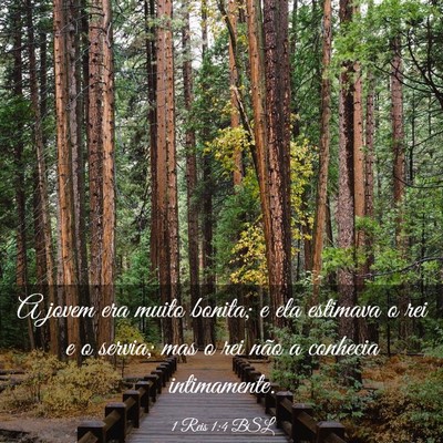 Picture 03 - 1 Reis 1:4 BSL - A jovem era muito bonita; e ela estimava o rei e - Bible Verse Picture
