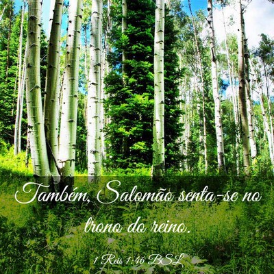 Picture 03 - 1 Reis 1:46 BSL - Também, Salomão senta-se no trono do - Bible Verse Picture