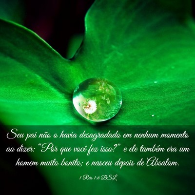 Picture 03 - 1 Reis 1:6 BSL - Seu pai não o havia desagradado em nenhum - Bible Verse Picture