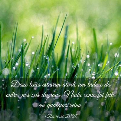 Picture 03 - 1 Reis 10:20 BSL - Doze leões estavam ali de um lado e do outro, - Bible Verse Picture