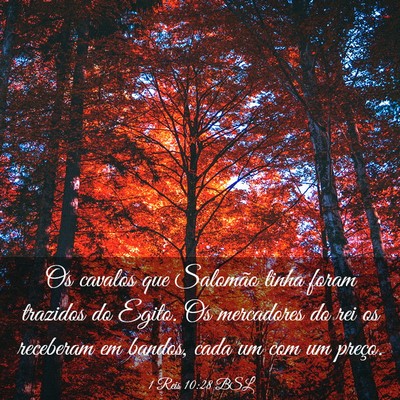 Picture 03 - 1 Reis 10:28 BSL - Os cavalos que Salomão tinha foram trazidos do - Bible Verse Picture