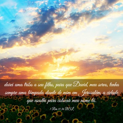 Picture 03 - 1 Reis 11:36 BSL - darei uma tribo a seu filho, para que David, meu - Bible Verse Picture