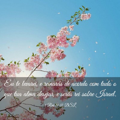 Picture 03 - 1 Reis 11:37 BSL - Eu te levarei, e reinarás de acordo com tudo o - Bible Verse Picture