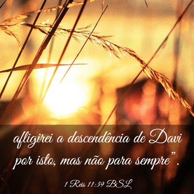 Picture 03 - 1 Reis 11:39 BSL - afligirei a descendência de Davi por isto, mas - Bible Verse Picture