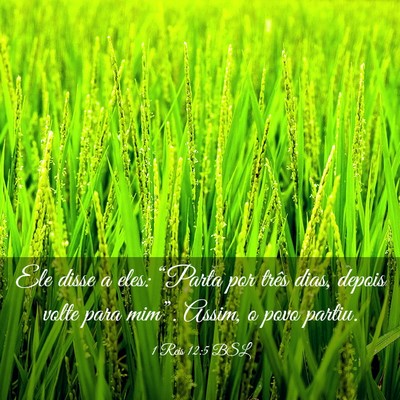 Picture 03 - 1 Reis 12:5 BSL - Ele disse a eles: “Parta por três dias, depois - Bible Verse Picture
