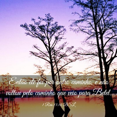 Picture 03 - 1 Reis 13:10 BSL - Então ele foi por outro caminho, e não voltou - Bible Verse Picture