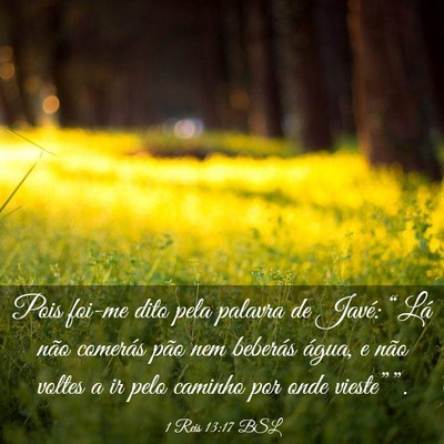 Picture 03 - 1 Reis 13:17 BSL - Pois foi-me dito pela palavra de Javé: “Lá - Bible Verse Picture