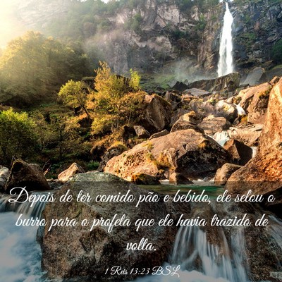 Picture 03 - 1 Reis 13:23 BSL - Depois de ter comido pão e bebido, ele selou o - Bible Verse Picture