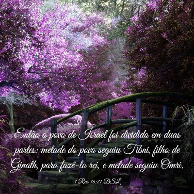 Picture 03 - 1 Reis 16:21 BSL - Então o povo de Israel foi dividido em duas - Bible Verse Picture