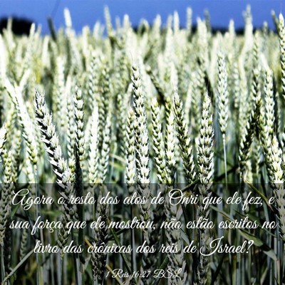 Picture 03 - 1 Reis 16:27 BSL - Agora o resto dos atos de Onri que ele fez, e sua - Bible Verse Picture