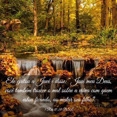 Picture 03 - 1 Reis 17:20 BSL - Ele gritou a Javé e disse: “Javé meu Deus, - Bible Verse Picture