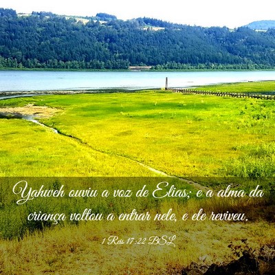 Picture 03 - 1 Reis 17:22 BSL - Yahweh ouviu a voz de Elias; e a alma da criança - Bible Verse Picture