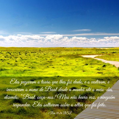 Picture 03 - 1 Reis 18:26 BSL - Eles pegaram o touro que lhes foi dado, e o - Bible Verse Picture