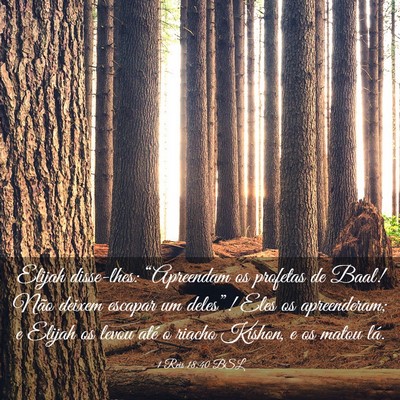 Picture 03 - 1 Reis 18:40 BSL - Elijah disse-lhes: “Apreendam os profetas de - Bible Verse Picture