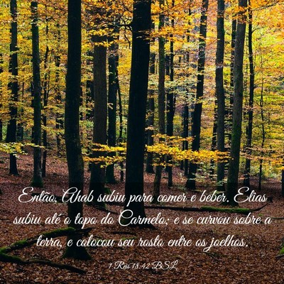 Picture 03 - 1 Reis 18:42 BSL - Então, Ahab subiu para comer e beber. Elias - Bible Verse Picture