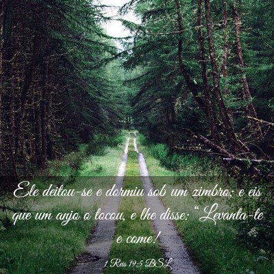 Picture 03 - 1 Reis 19:5 BSL - Ele deitou-se e dormiu sob um zimbro; e eis que - Bible Verse Picture