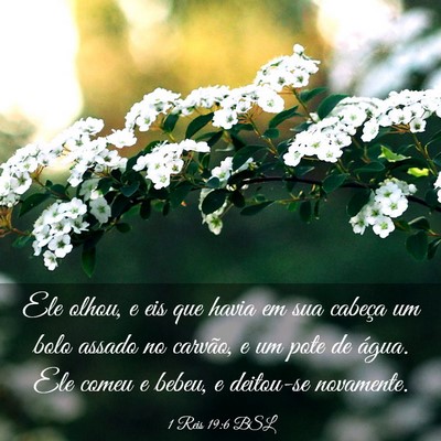 Picture 03 - 1 Reis 19:6 BSL - Ele olhou, e eis que havia em sua cabeça um bolo - Bible Verse Picture