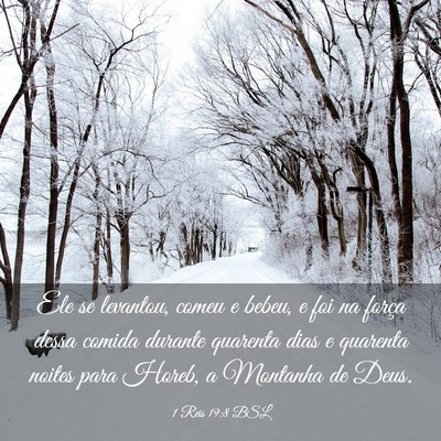 Picture 03 - 1 Reis 19:8 BSL - Ele se levantou, comeu e bebeu, e foi na força - Bible Verse Picture
