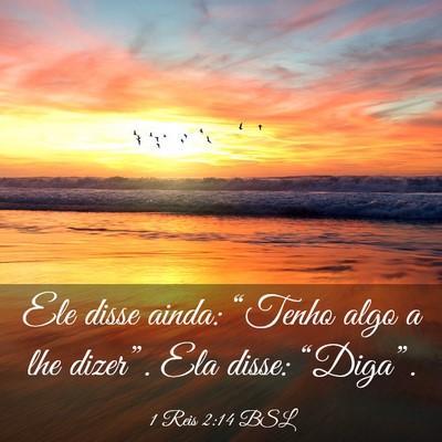 Picture 03 - 1 Reis 2:14 BSL - Ele disse ainda: “Tenho algo a lhe dizer”. - Bible Verse Picture