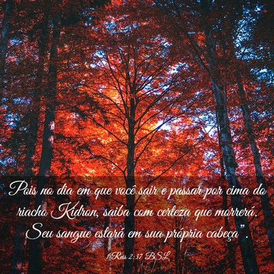 Picture 03 - 1 Reis 2:37 BSL - Pois no dia em que você sair e passar por cima - Bible Verse Picture