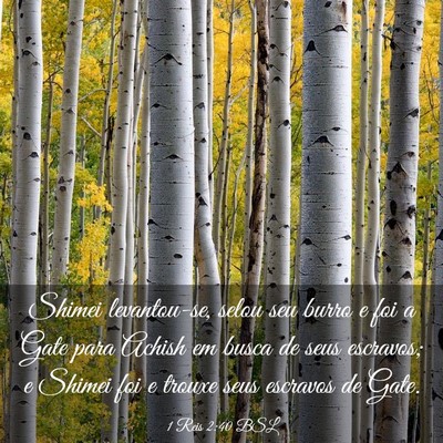 Picture 03 - 1 Reis 2:40 BSL - Shimei levantou-se, selou seu burro e foi a Gate - Bible Verse Picture