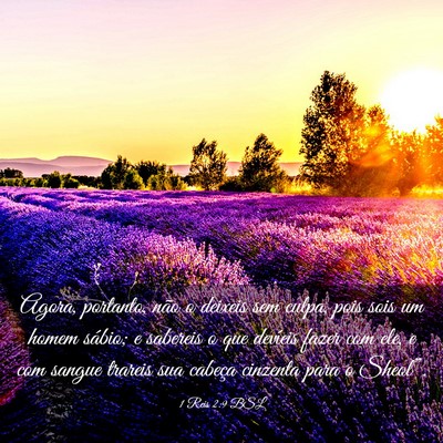 Picture 03 - 1 Reis 2:9 BSL - Agora, portanto, não o deixeis sem culpa, pois - Bible Verse Picture