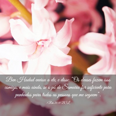 Picture 03 - 1 Reis 20:10 BSL - Ben Hadad enviou a ele, e disse: “Os deuses - Bible Verse Picture
